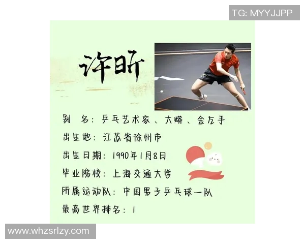 北京乒乓球队精英赛背后的拼搏故事与奋斗历程揭秘