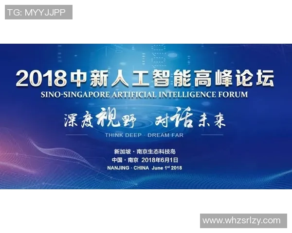 南京羽毛球队转型升级之路探析与未来展望